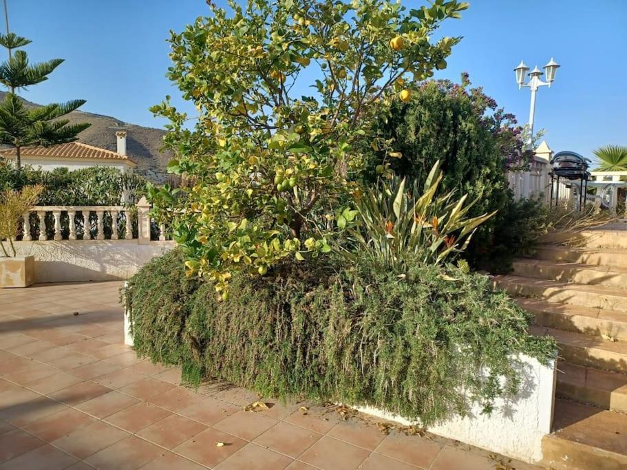 Casa Los Olivos, Villa With A Pool Alicante Exterior photo