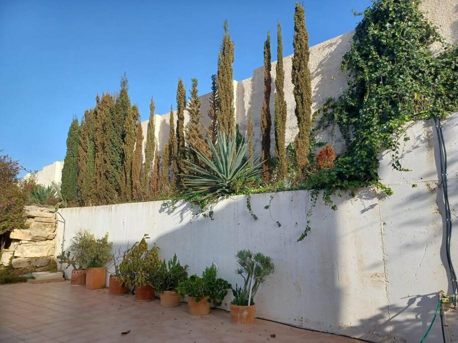 Casa Los Olivos, Villa With A Pool Alicante Exterior photo